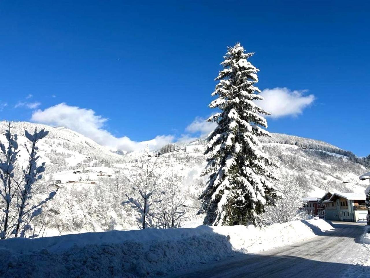 Penthouse Julia Naehe Badesee Mit Infrarotsauna -Zell Am See Kaprun Niedernsill Kültér fotó