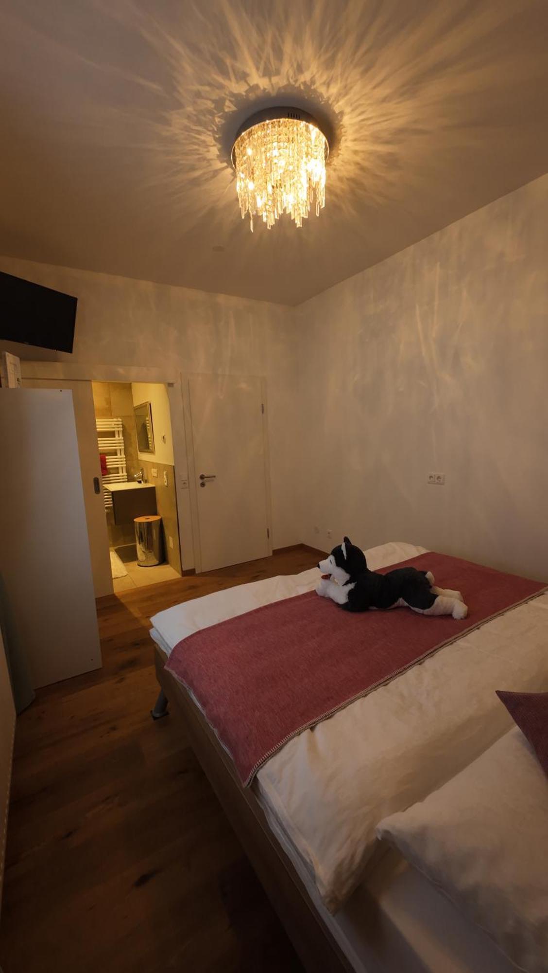 Penthouse Julia Naehe Badesee Mit Infrarotsauna -Zell Am See Kaprun Niedernsill Kültér fotó